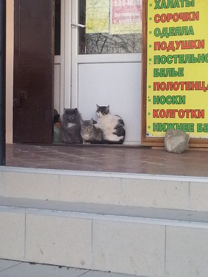 Давайте поиграем) придумайте подпись к фото)