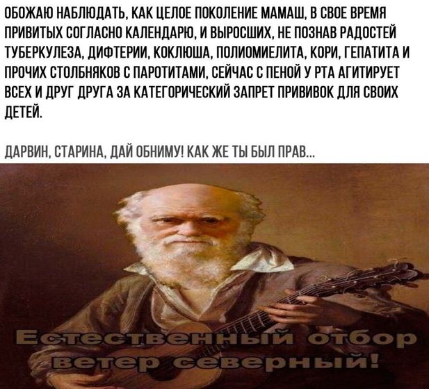 Да будет срач