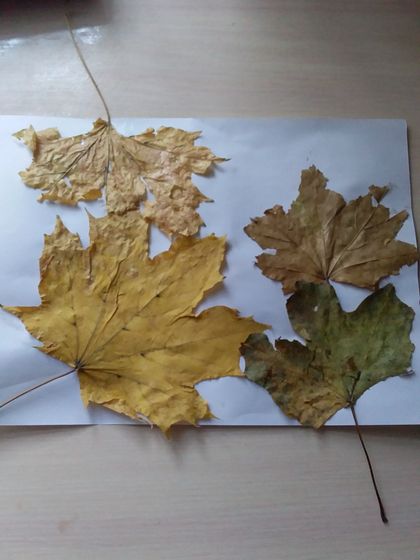 А вы делаете поделки осенние