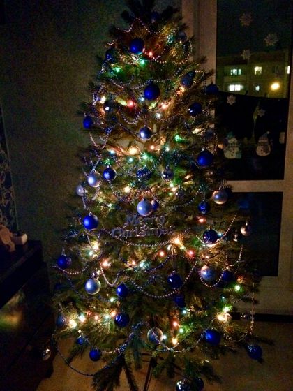 Наша ёлочка🎄