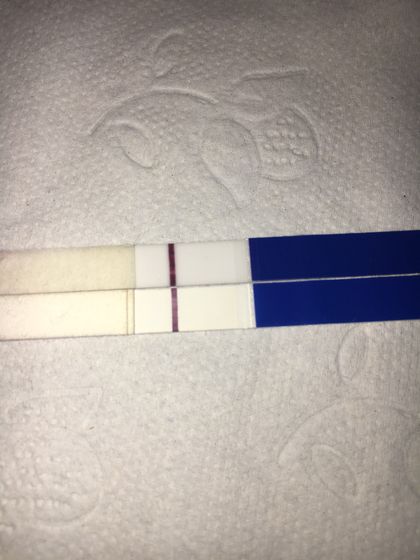 До м 2 дня