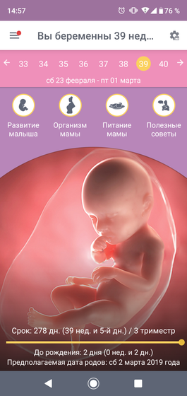 Заболела на таком сроке