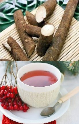 Корень шелковицы с ягодами калины: Народная медицина