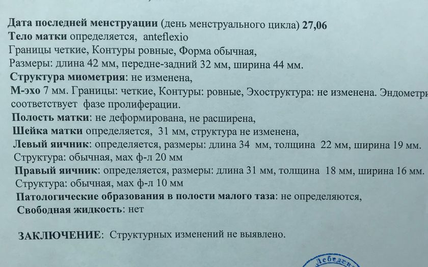 УЗИ 10 дц