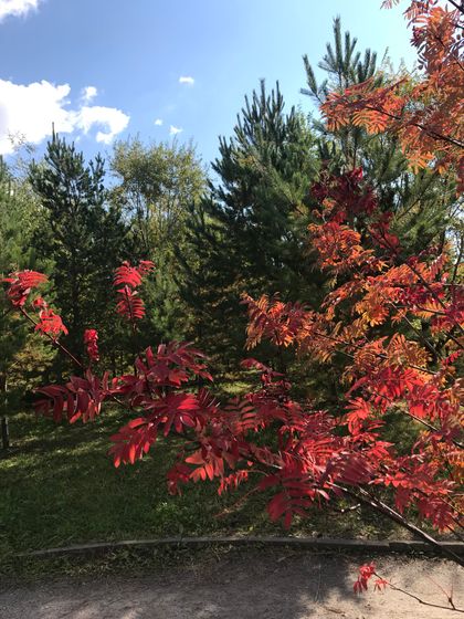 У нас уже осень 🍂