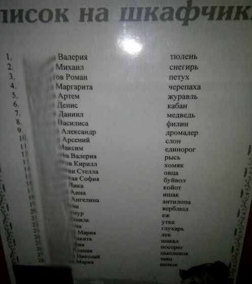 Детский сад .