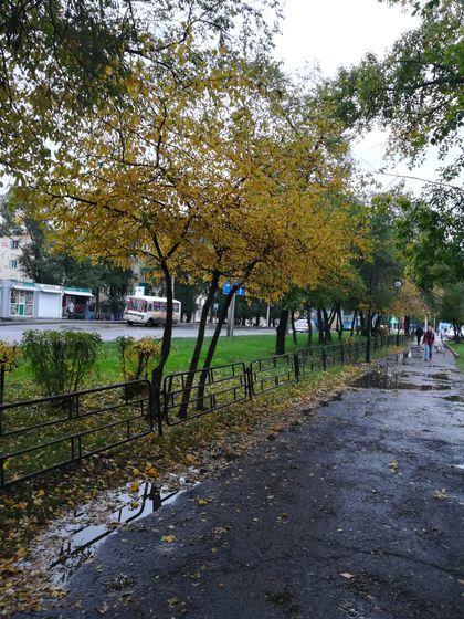 Краски осени.
