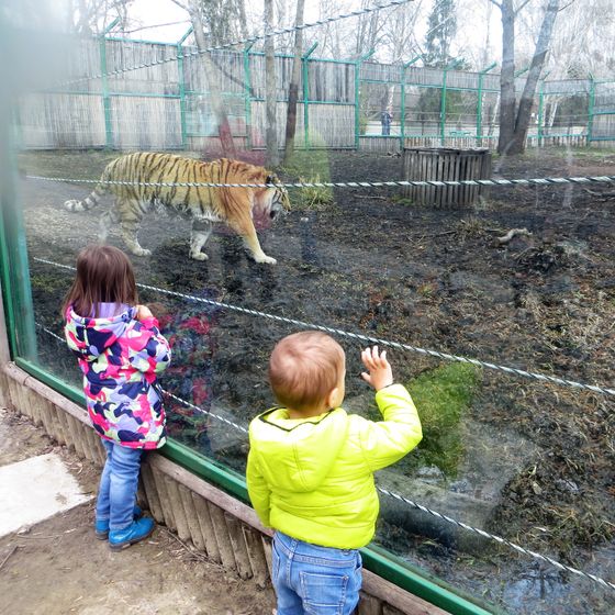 Марку год и одиннадцать)