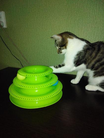 Про моего котейку)))) для сообщества