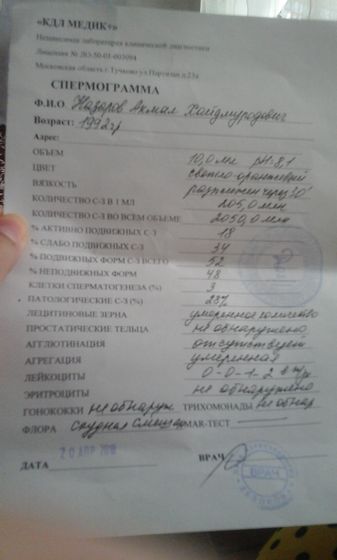 Спермограмма мужа ничего не