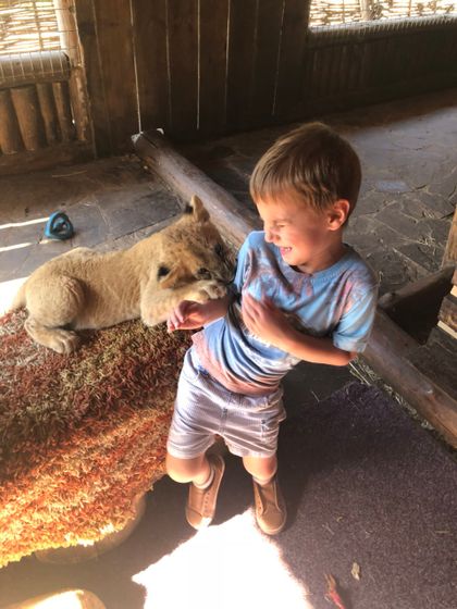 Льву 🦁 1,4 года ❤ (наши новости, продолжение АтД, ГВ после года)