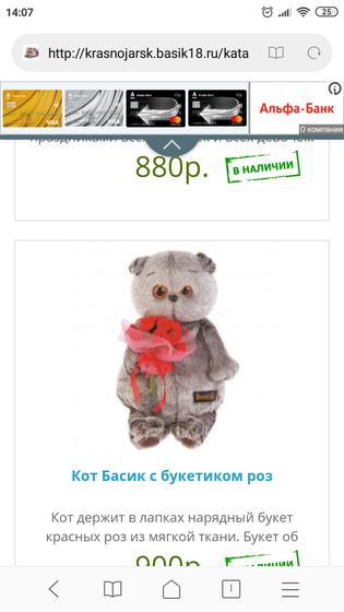 Девочки Красноярск! Кот Басик.