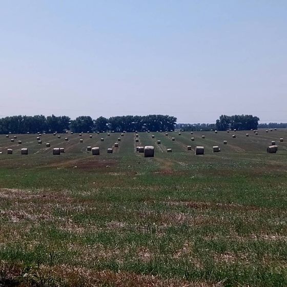 Вырвалась из реальности?
