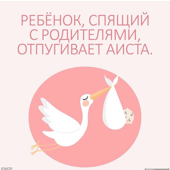 Думаю аист ничего не