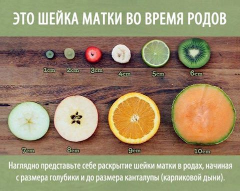 НЕПРЕДСКАЗУЕМАЯ ШЕЙКА МАТКИ