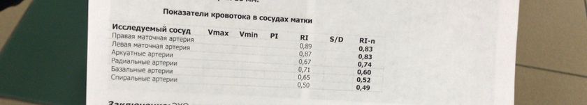 Кровоток‼️‼️‼️‼️‼️‼️‼️