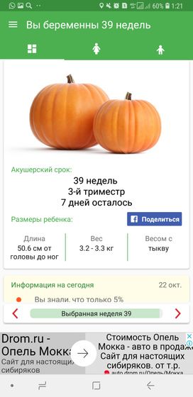 А мы пока сидим