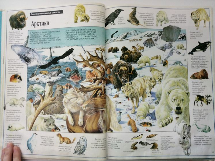 5 волшебных книг, которые...