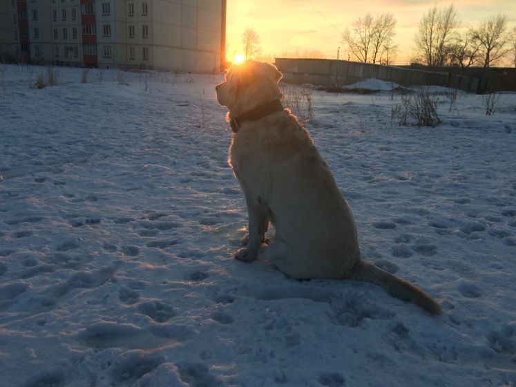 А мы веселимся!)