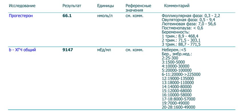 Сдала ХГЧ и прогик на 36 дц