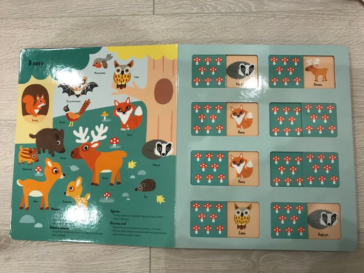 Книги ?