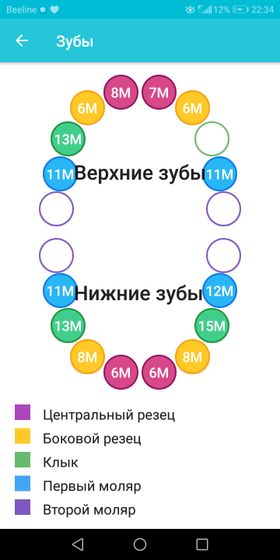 Зубы