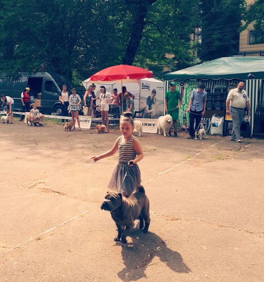 ? Мой любимый ?