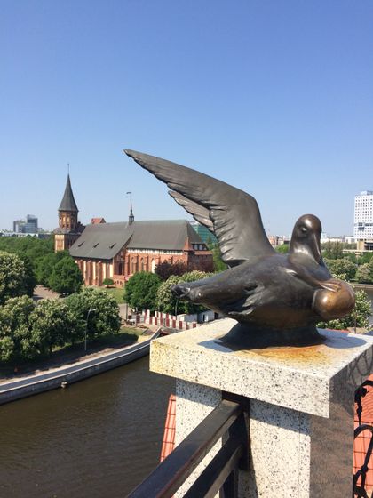 Наш мини отпуск: перелёт, Калининград, прогулки