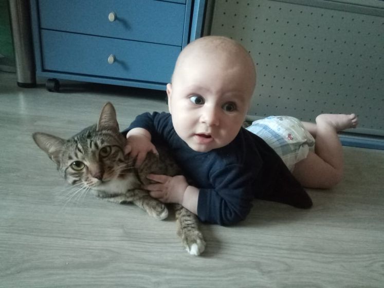 Перевороты, поползновения и коты