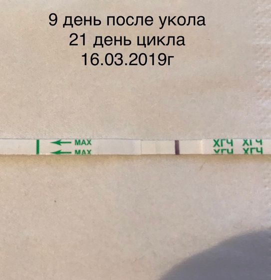 ХГЧ или беременность