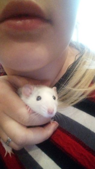 Мой Сёма