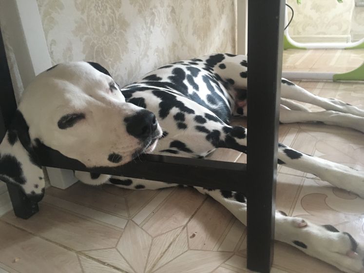 Нам сегодня 1 год