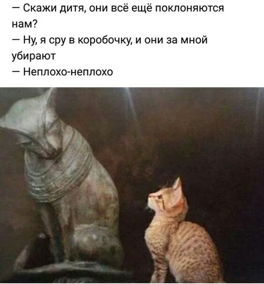 Немного хаха?