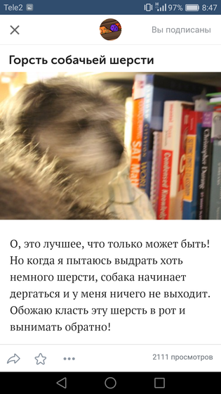 Письмо деду морозу (Санта)
