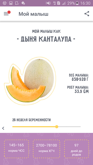 26 недель