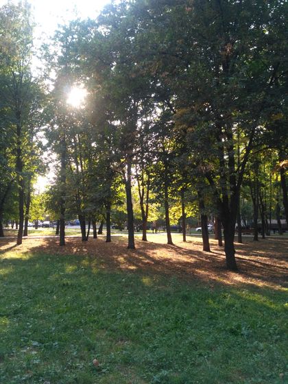 Первый осенний вечер😊🍀🍂🍁🌿🍃