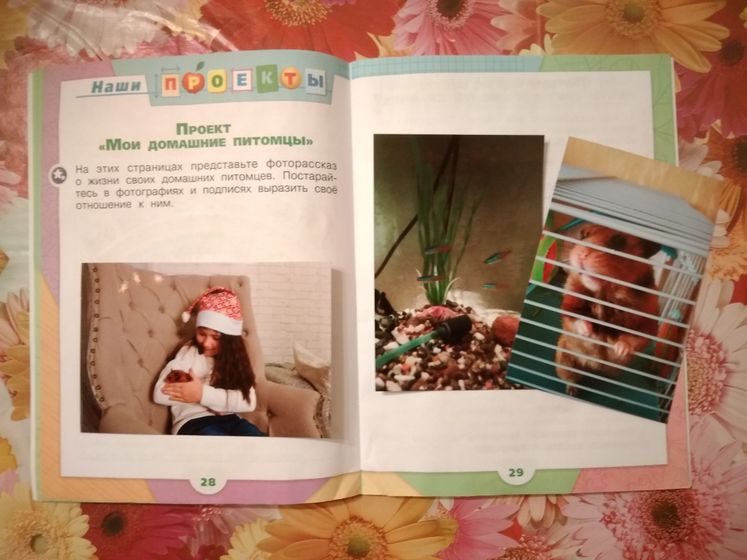 Презентация