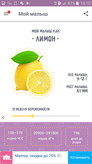 12 недель