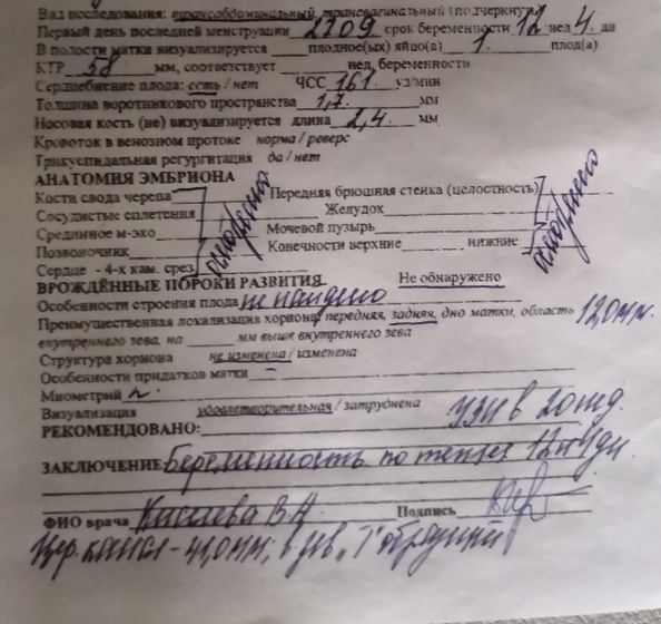Первый скрининг 24.12.18 бесплатный