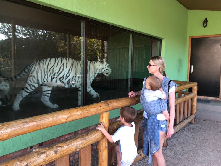 Льву 🦁 1,4 года ❤ (наши новости, продолжение АтД, ГВ после года)