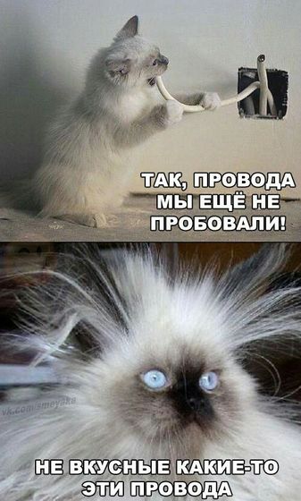 Немного позитива с утра