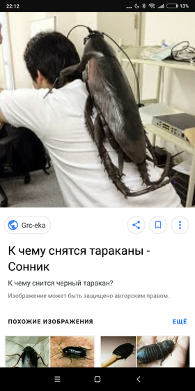 Тараканы
