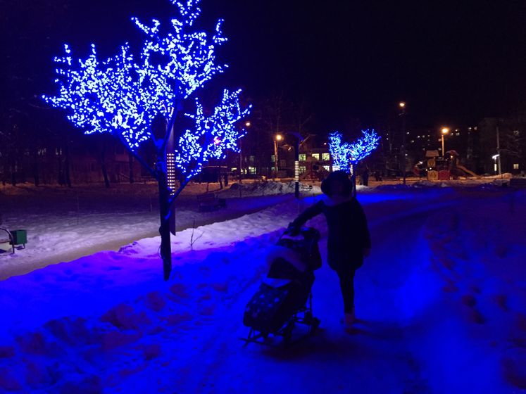 Наши дела☀️🎄