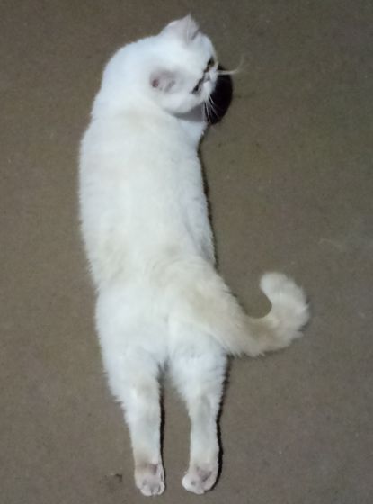 Моя 😍