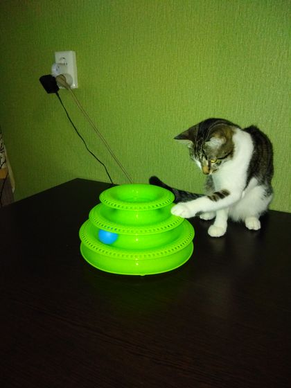 Про моего котейку)))) для сообщества