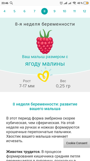 Моя малинка