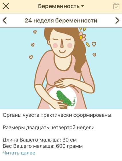 Перешли на 24 неделю