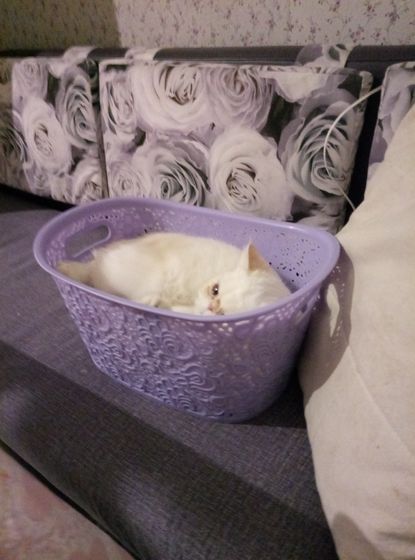Моя 😍