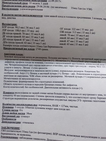 Узи 35 недель