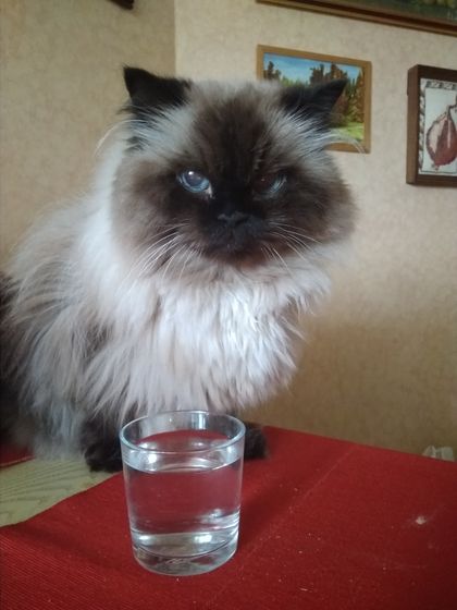 Знакомьтесь.